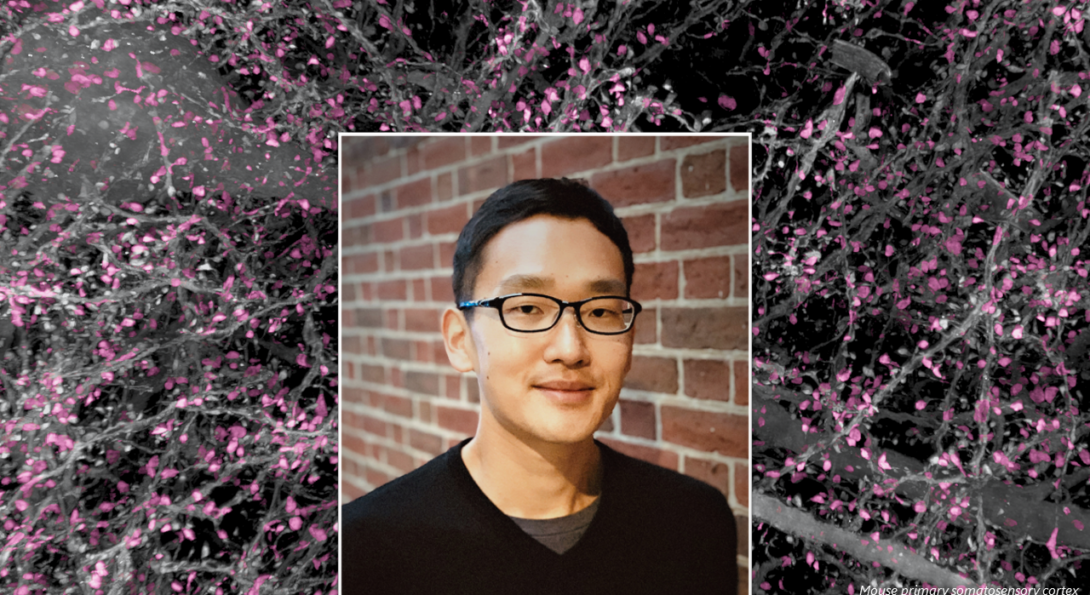 Rui Gao has joined our department!