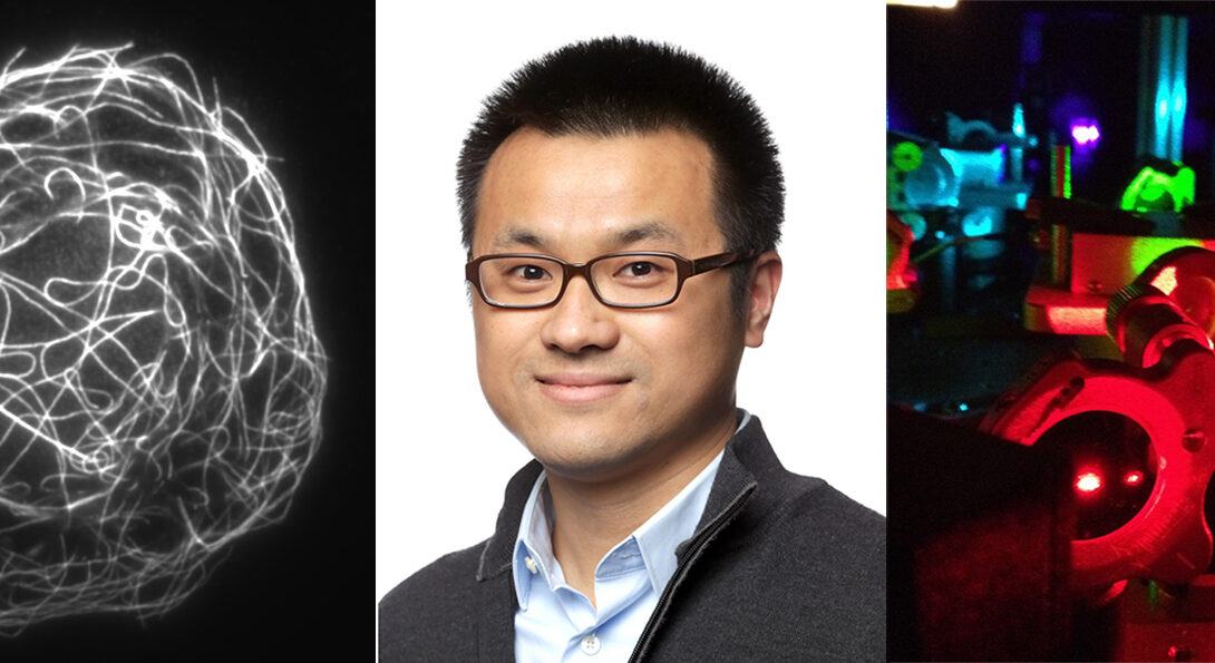 Ying Hu, and expert on super resolution imaging, is joining our department as an assistant professor in Fall 2018!
