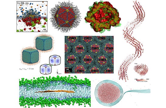 The Kral group studies molecular transport and machinery.