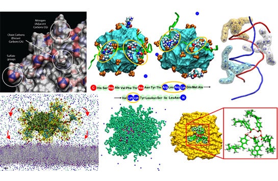 The Kral group studies molecular transport and machinery.