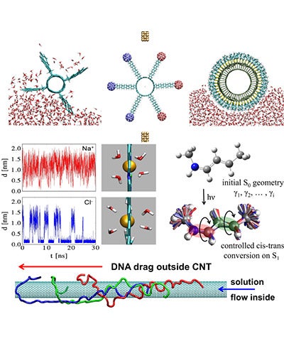 The Kral group studies molecular transport and machinery.