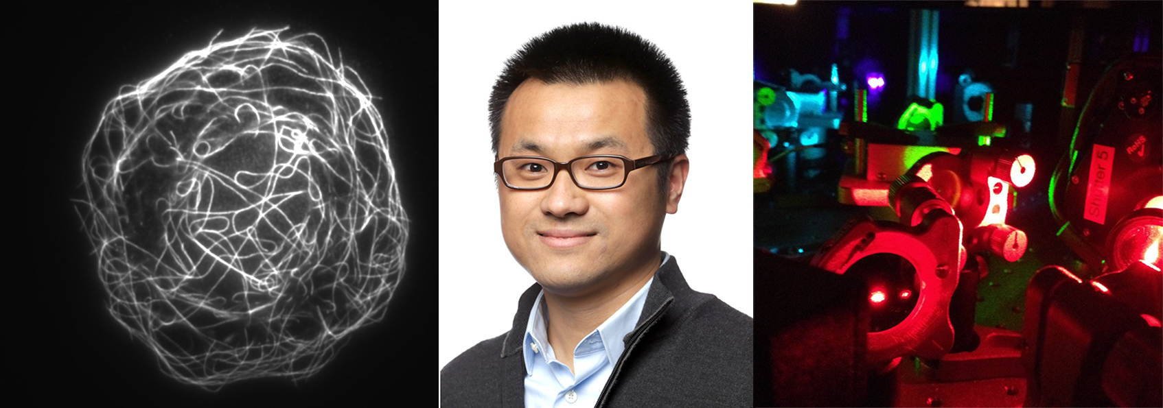 Ying Hu, and expert on super resolution imaging, is joining our department as an assistant professor in Fall 2018!
                  