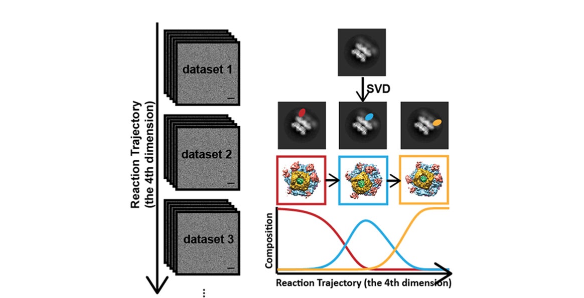 Prof. Yang has a method to measure the structural changes of proteins using time-resolved X-ray Diffraction.
                  