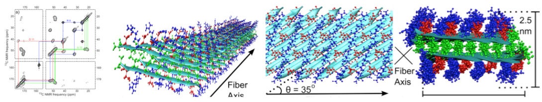 The Zhou group studies peptide self assembly.