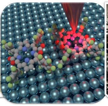 The Jiang group has made a new record for imaging single molecules!
                  