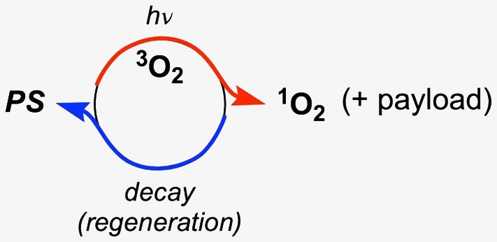 The Ayitou group studies non-classical aromatic triplet chromophores.