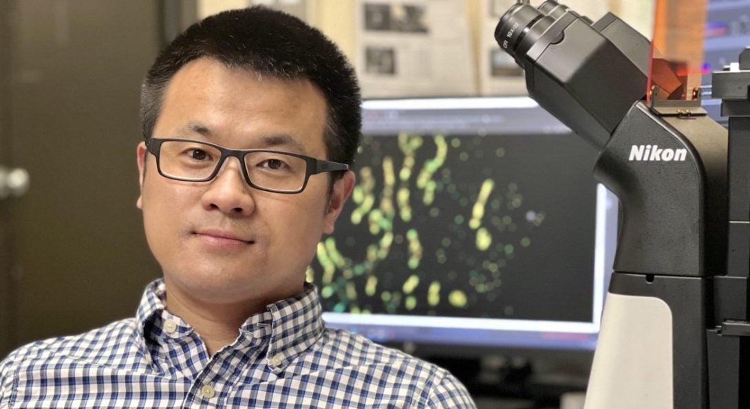 Hu receives $1.9M NIH MIRA award