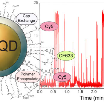 The Snee and Hu groups have revealed energy transfer from QD-dye conjugates is not efficient. 