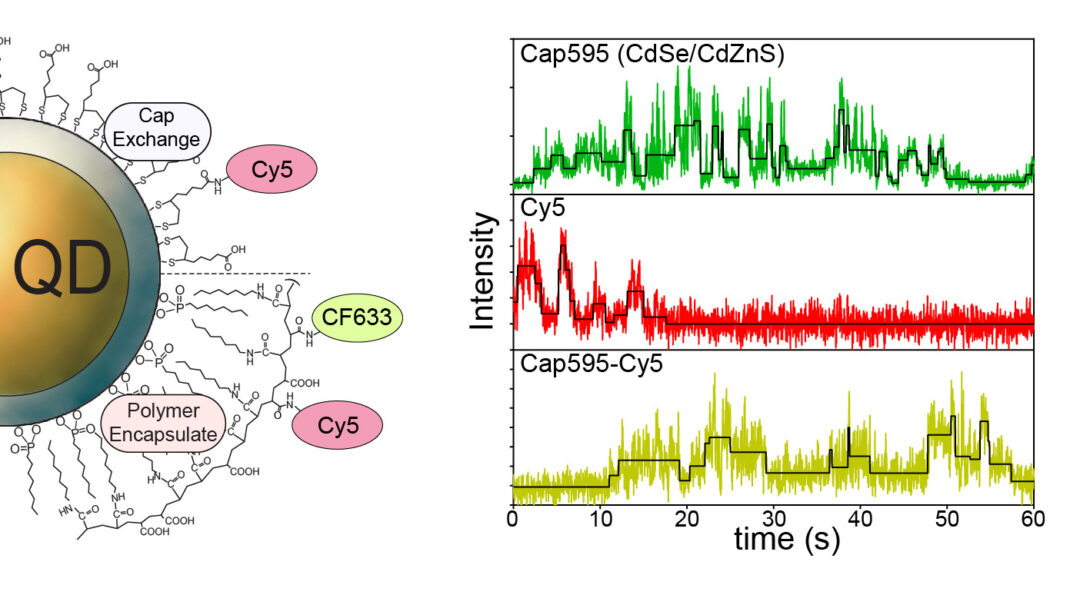 The Snee and Hu groups have revealed energy transfer from QD-dye conjugates is not efficient.